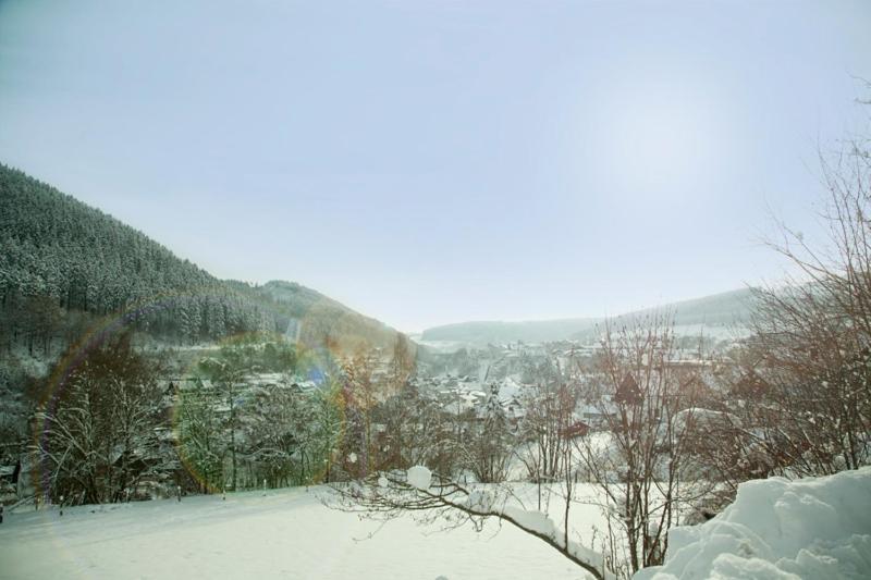 Haus Alexandra Inkl Meinecard Plus 빌링겐 외부 사진